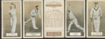1934 set of Carreras Cricketers (brown backs), 50/50